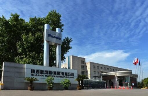 【陜鼓集團(tuán)】陜鼓集團(tuán)上榜“2022年度中國(guó)鋼鐵品牌榜”，獲“卓越鋼鐵技術(shù)與服務(wù)供應(yīng)商品牌”榮譽(yù)稱號(hào)