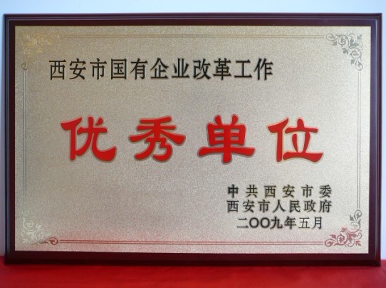 2009年5月，被西安市委、市政府評(píng)為西安市國企業(yè)改革工作優(yōu)秀單位