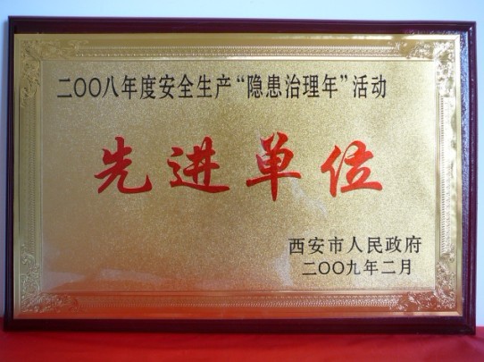 2009年2月，被西安市人民政府評(píng)為2008年度安全生產(chǎn)“隱患治理年”活動(dòng)先進(jìn)單位
