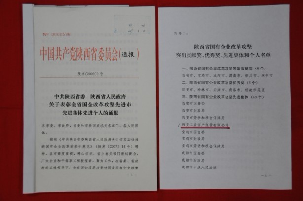 2009年2月，被陜西省委、省政府授予陜西省國有企業(yè)改革攻堅(jiān)先進(jìn)集體