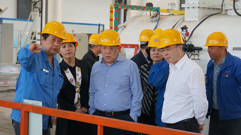 集團領導到標準熱處理、電器開關(guān)調(diào)研